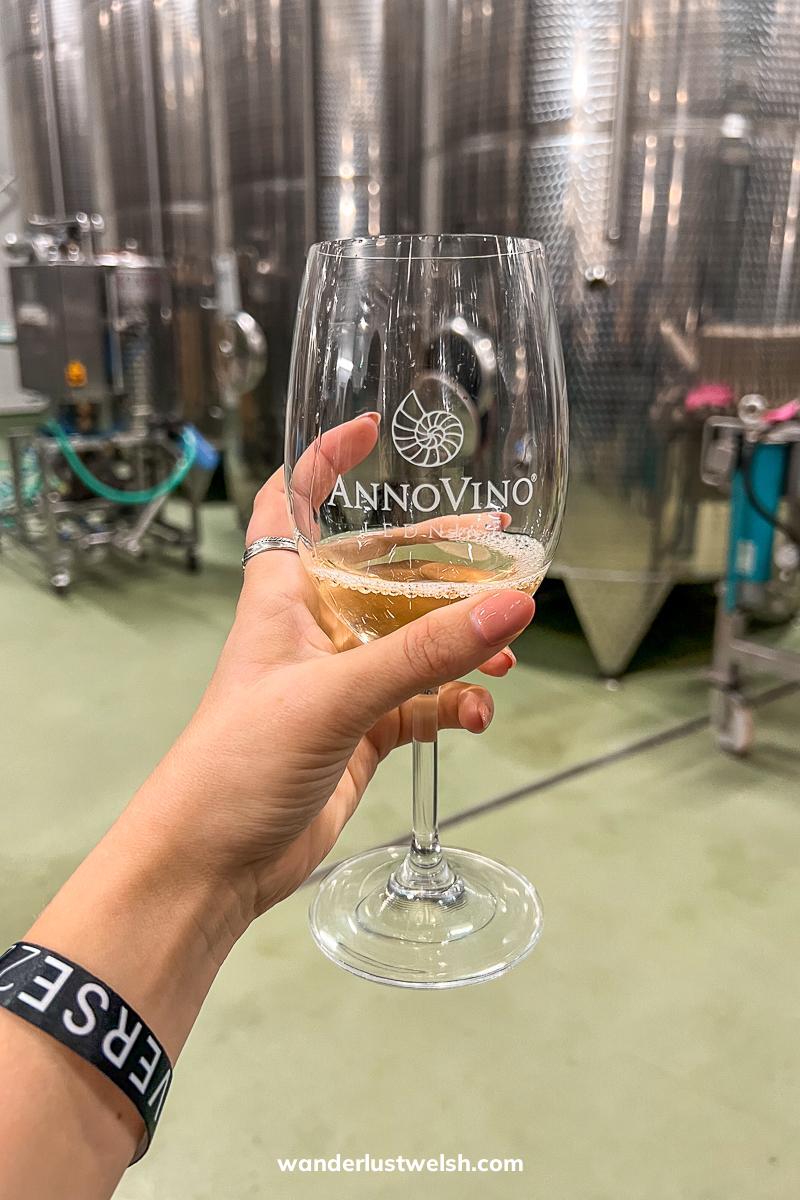Someone holding a wine glass with "AnnoVino" written on it in front of metal vats