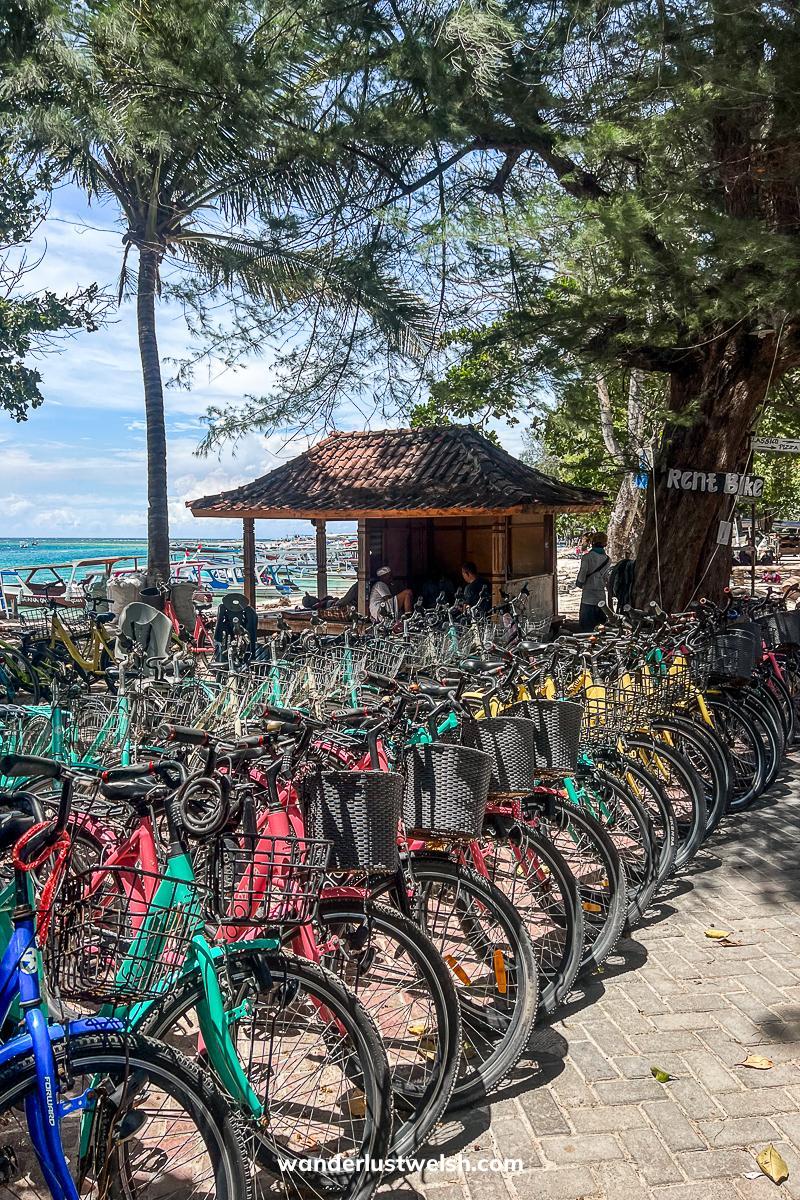 A row of dozens of colorful rental bikes