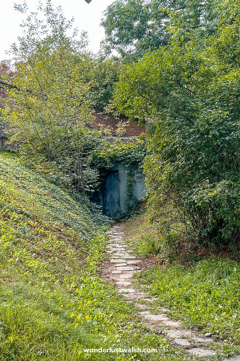 A doorway leading to a secret underground bunker surrounded by greenery