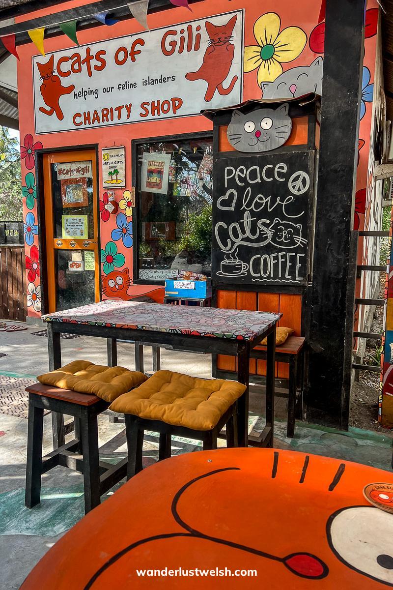 A cat cafe on Gili T with cat tables and decorations