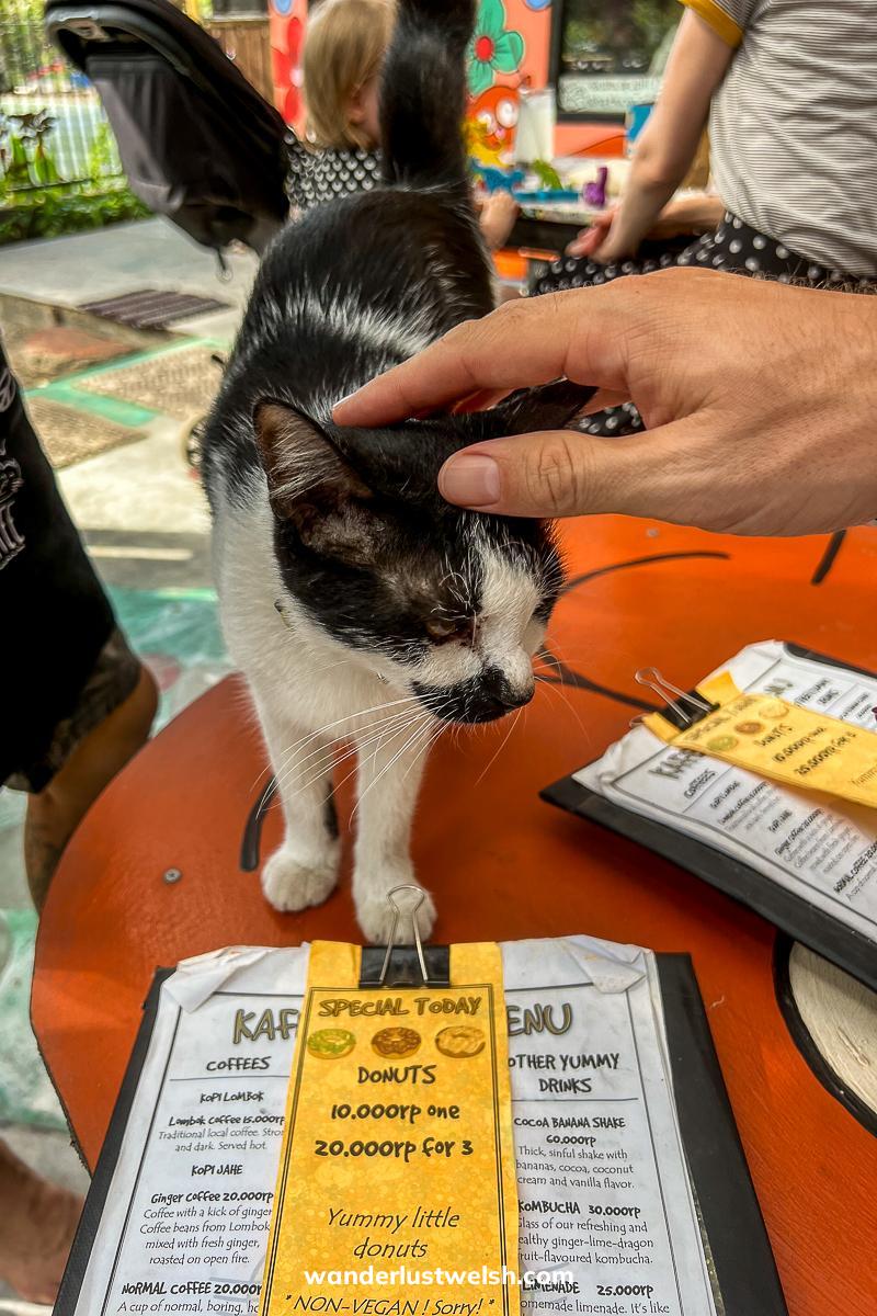 Someone stroking a black and white cat standing on a cafe table next to a menu