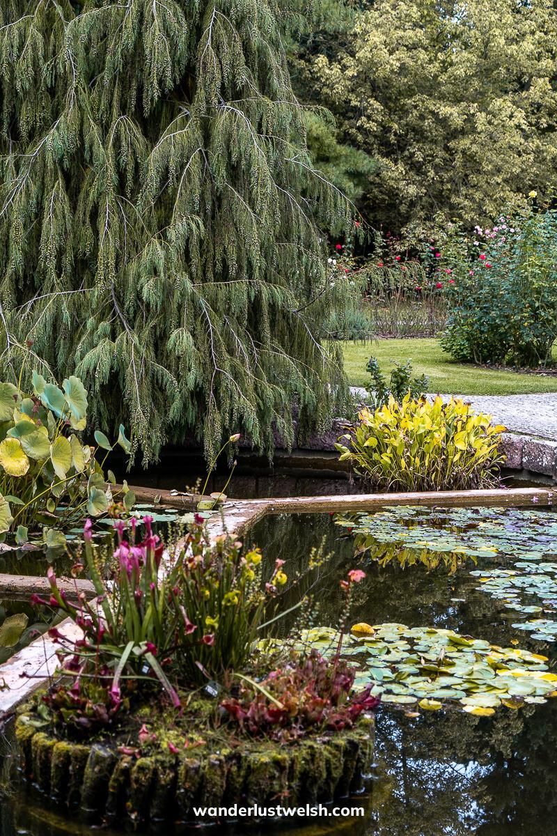 A botanical garden with colorful flowers, tall trees, and a pond with lily pads