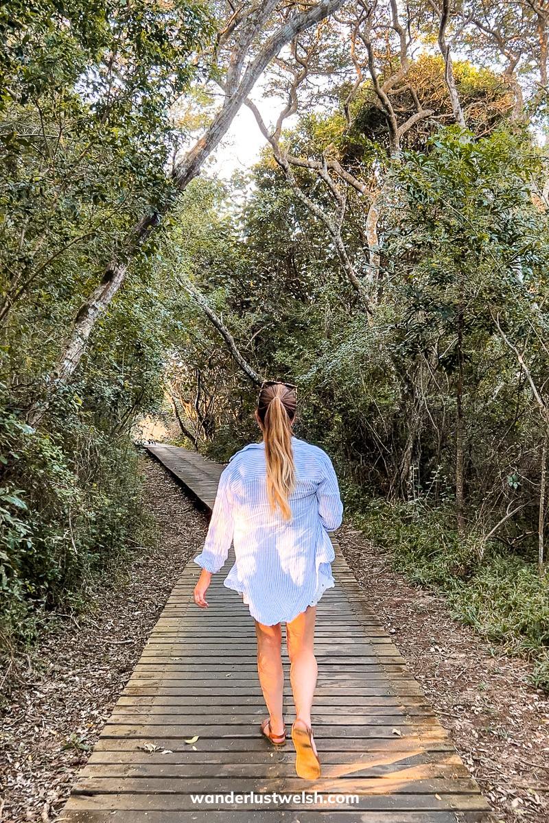 A woman walking along a wooden boardwalk through a forest