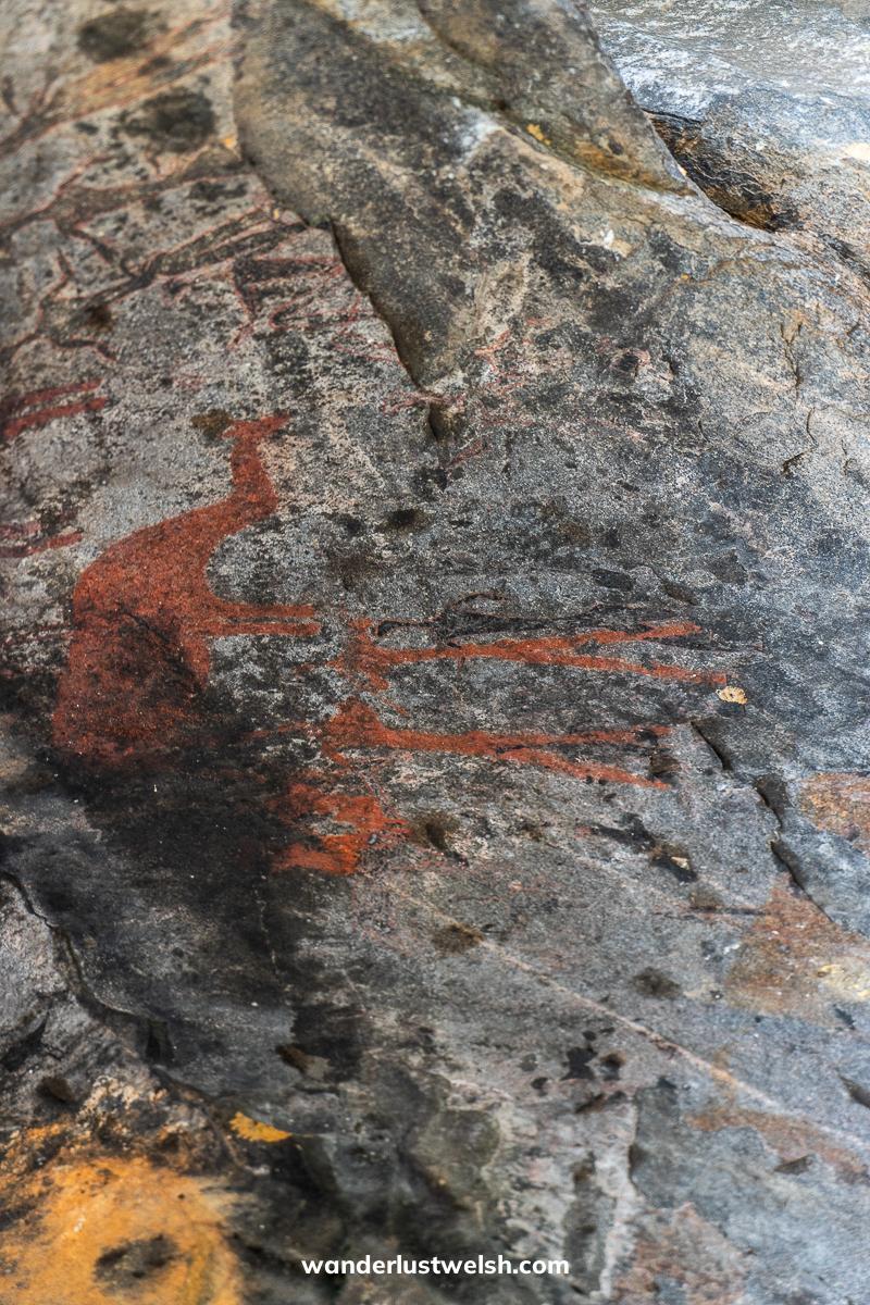 A red cave painting of animals