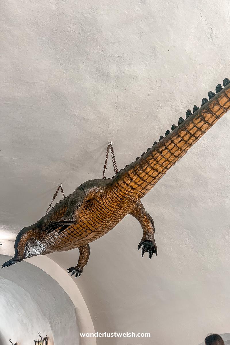 A stuffed crocodile known as the "Dragon of Brno" hanging from a white ceiling