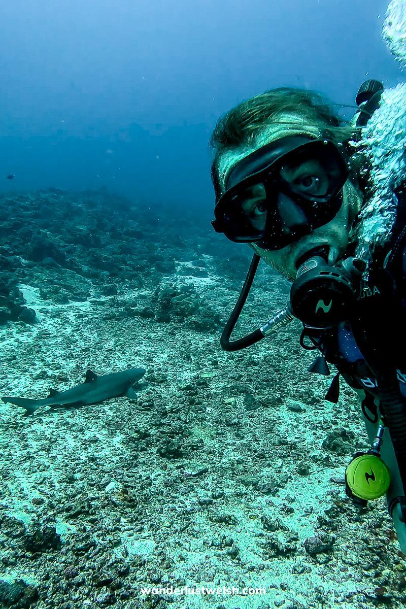 A selfie of a man scuba diving near a blacktip reef shark