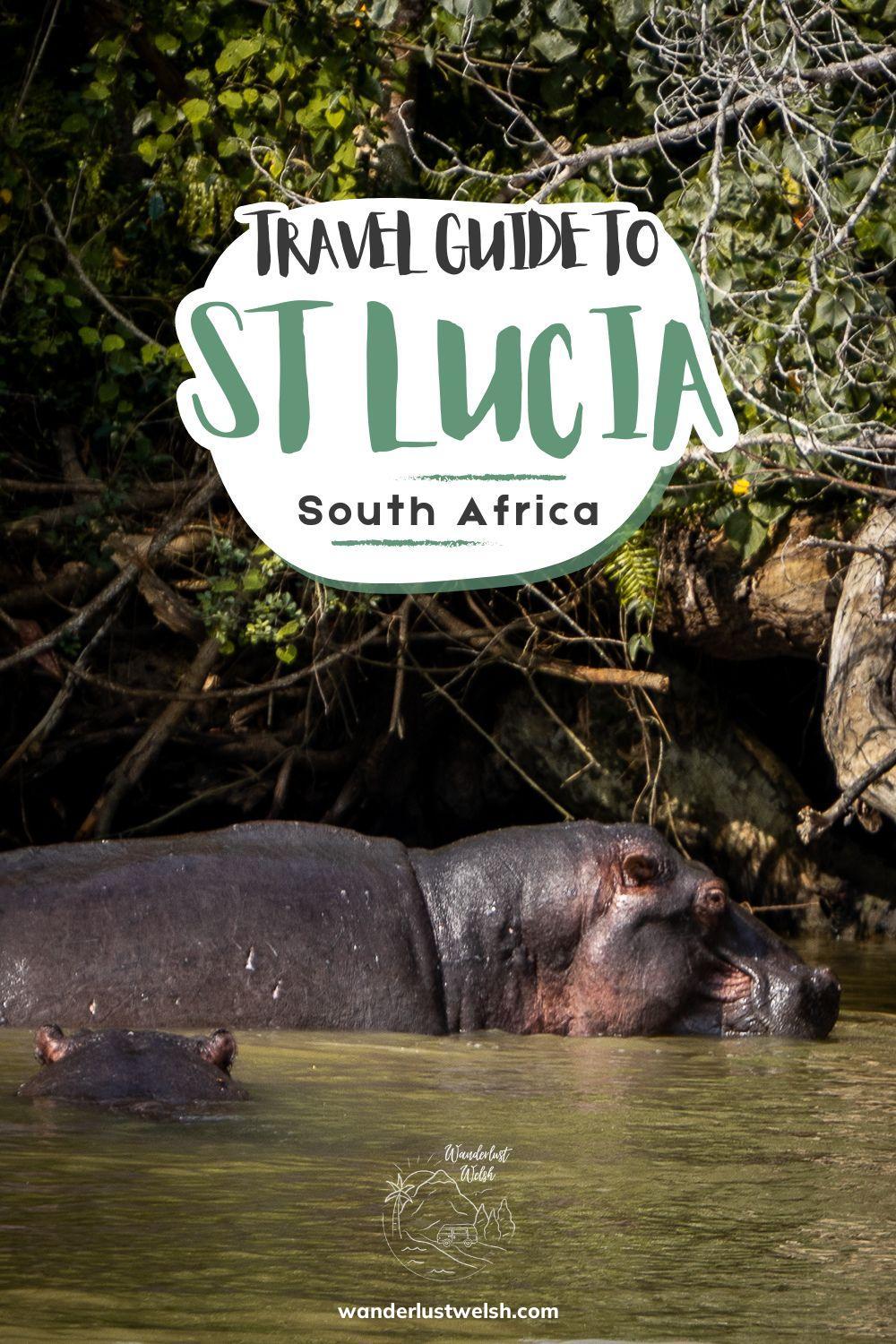 A hippo shoulder deep in muddy water with the words "Travel Guide to St Lucia, South Africa" superimposed
