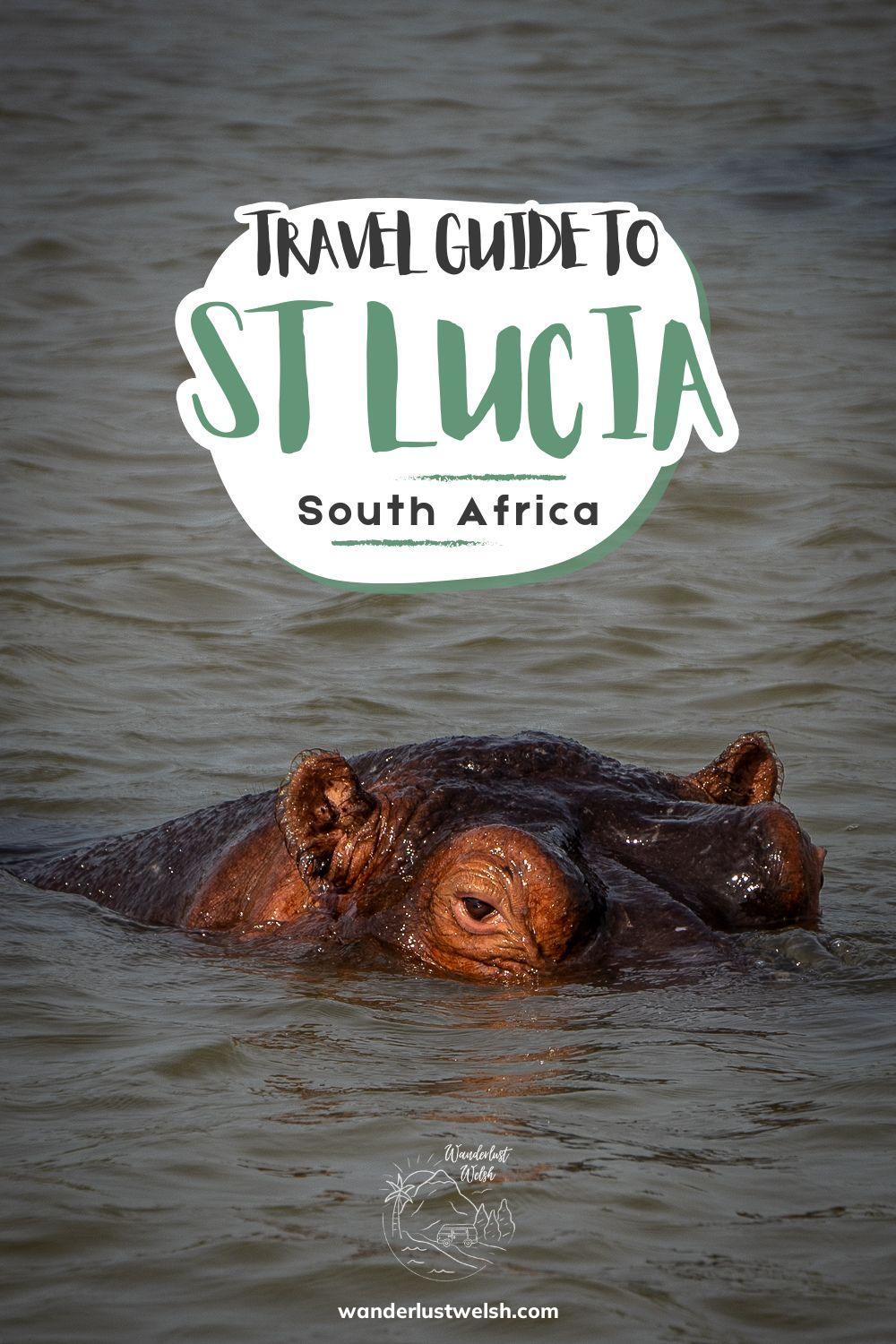A hippo peeking above the water with the words "Travel Guide to St Lucia, South Africa" superimposed