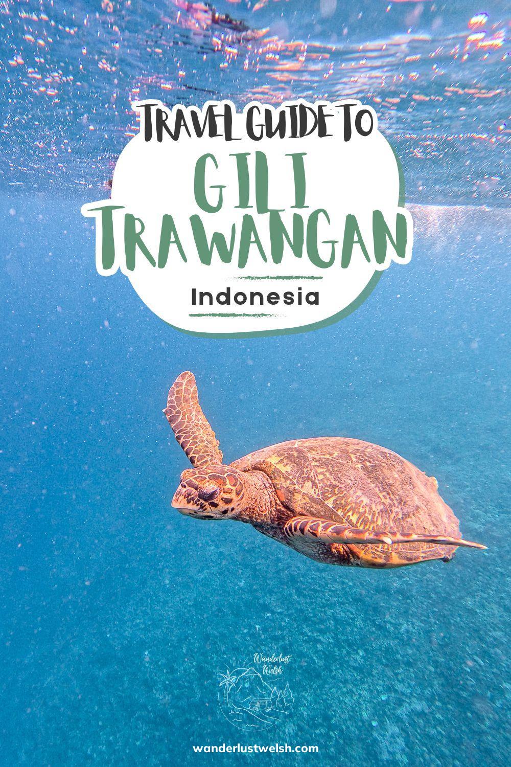 A sea turtle swimming in open water with the words "Travel Guide to Gili Trawangan" superimposed