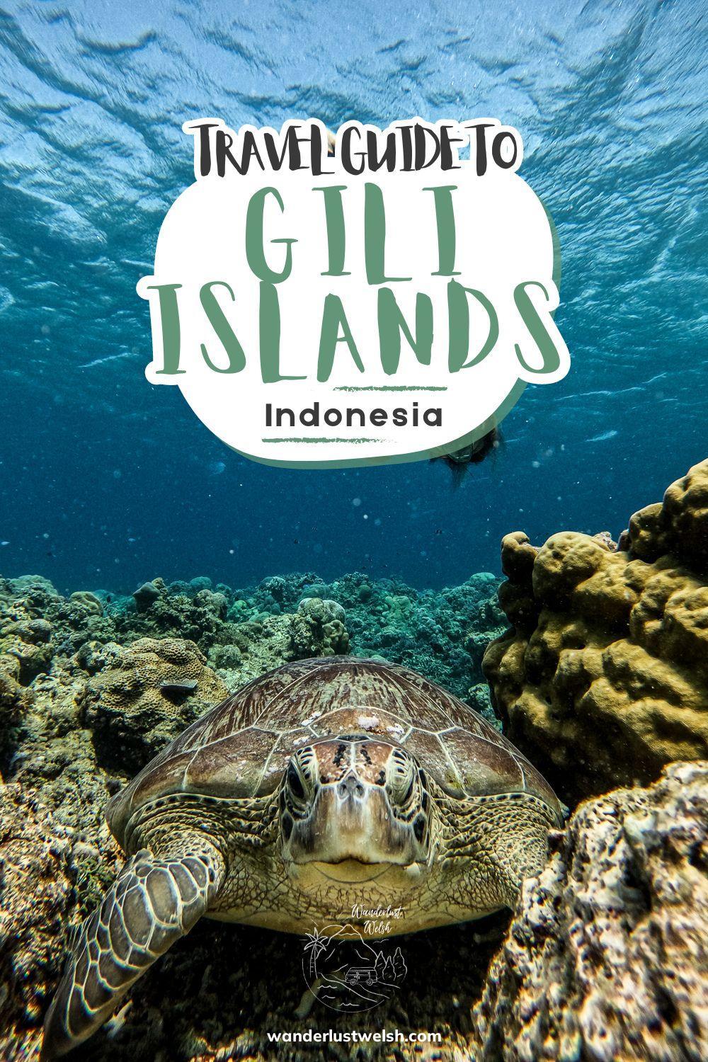 A close-up of a turtle laying on the coral reef with the words "Travel Guide to Gili Islands" superimposed