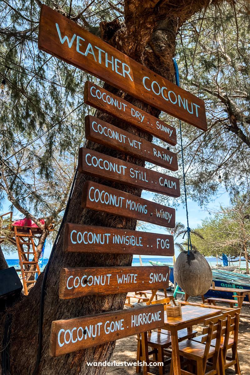 A coconut hanging from a string with the sign "Weather coconut" and various jokes like "coconut wet = raining" and "coconut gone = hurricane"
