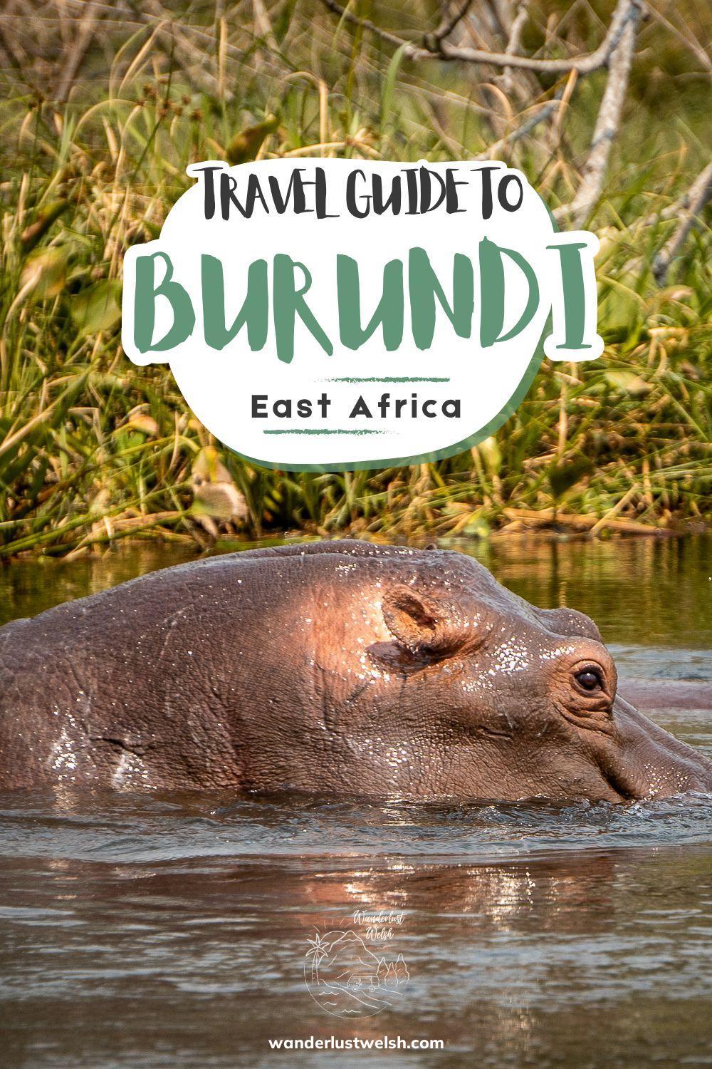 A hippo poking his head above the water with the words "Travel Guide to Burundi" superimposed