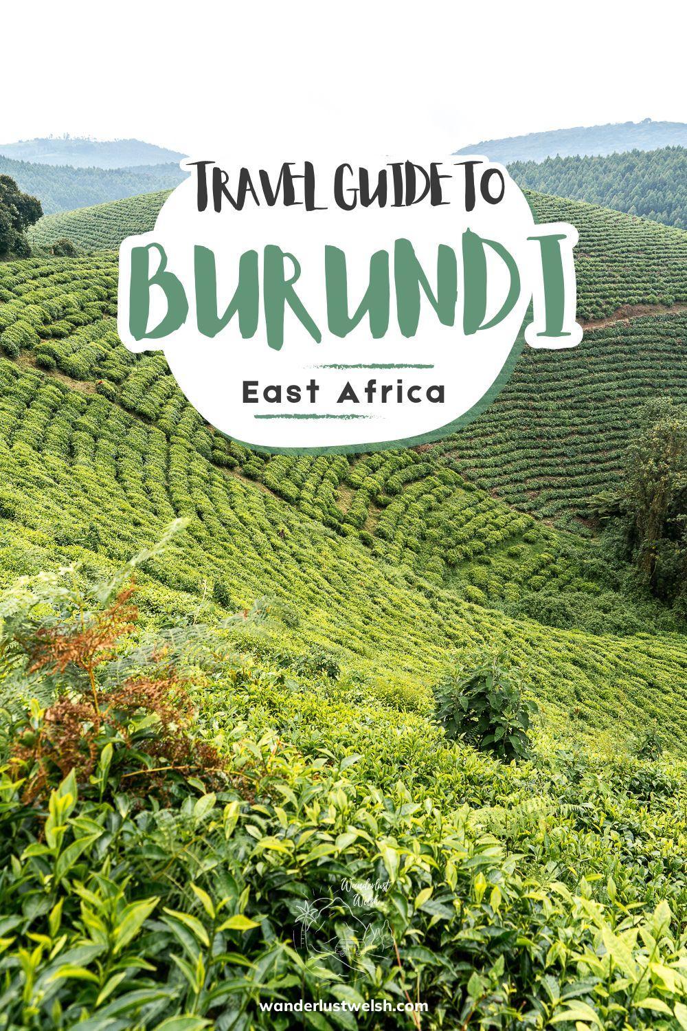 Tea trees at the Teza Tea Plantation with the words "Travel Guide to Burundi" superimposed