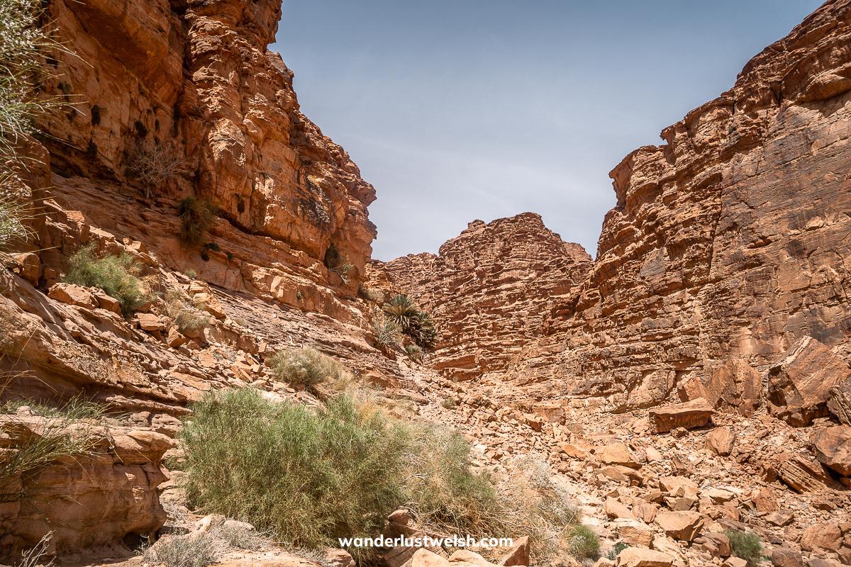A rocky gorge in the desert with small amount of vegetation
