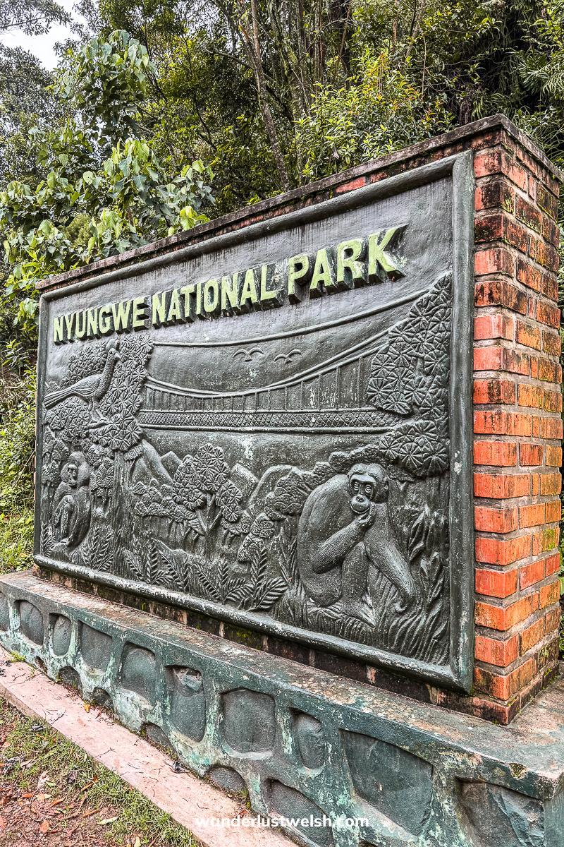 A carved stone sign for Nyungwe National Park featuring a chimp, monkey, turaco, trees, and a canopy bridge
