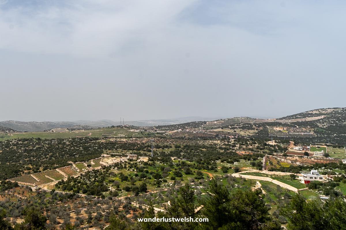 A north Jordan landscape of shrubland with small stone outcrops