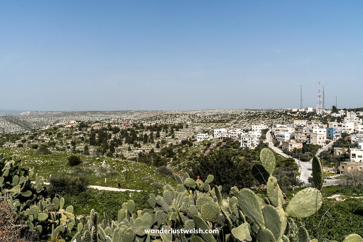 Northern Jordan scrubland landscape and cactus